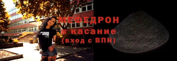 МДПВ Бородино
