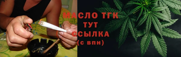МДПВ Бородино