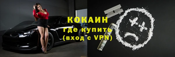 МДПВ Бородино