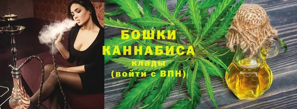 МДПВ Бородино