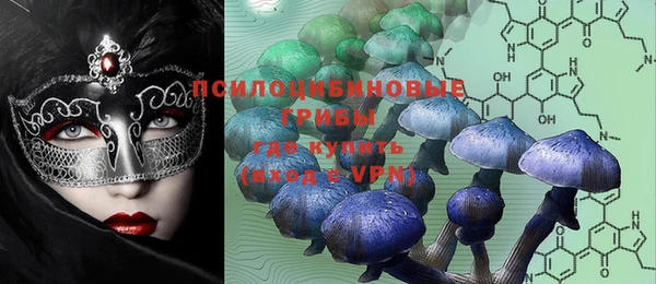 шишки Бронницы