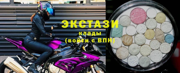 МДПВ Бородино