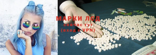 шишки Бронницы