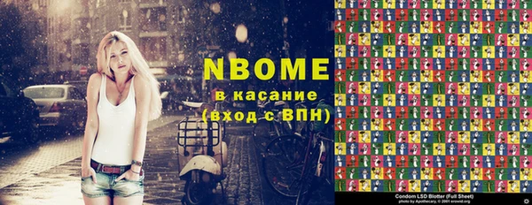 МДПВ Бородино