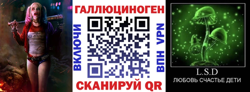 Псилоцибиновые грибы MAGIC MUSHROOMS  купить наркоту  Новокубанск 