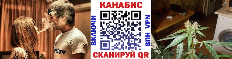 Шишки марихуана семена Новокубанск